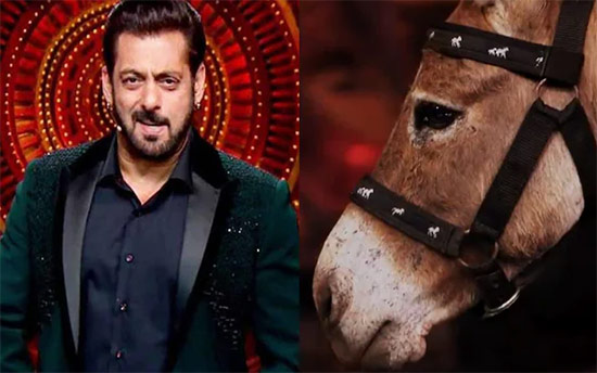 Bigg Boss 18: PETA Calls Use Of Donkey On Show 'Distressing', Asks Salman Khan To Remove Donkey From Show