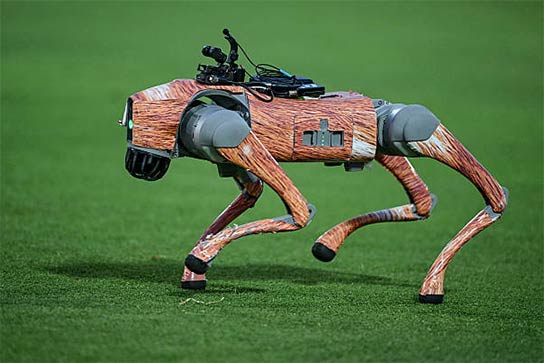 BCCI Slapped With Legal Notice For Naming IPL Robotic Dog After 'Champak'