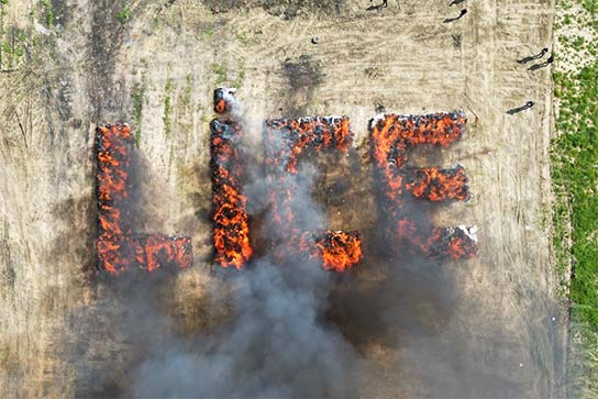 Turkish Town Involutarily Gets High After Police Burn Over 20 Tons of Confiscated Weed