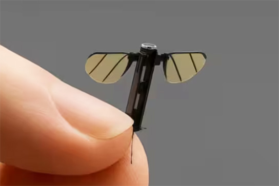 Spy Mosquito: Chinese Scientists Unveil Mosquito-Sized Surveillance Drone