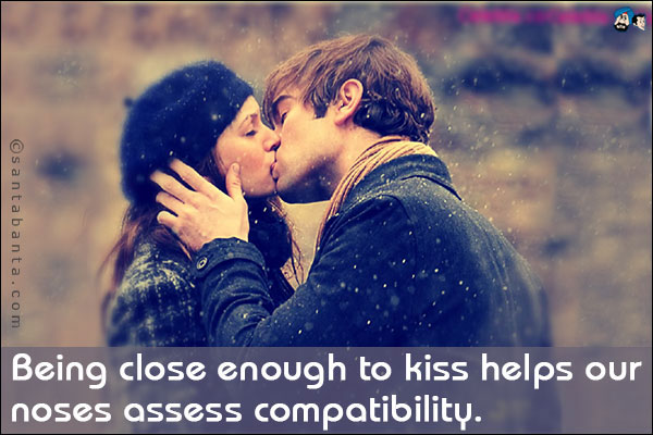 Being close enough to kiss helps our noses assess compatibility.