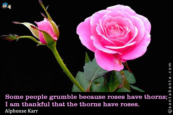 Some people grumble because roses have thorns; I am thankful that the thorns have roses.