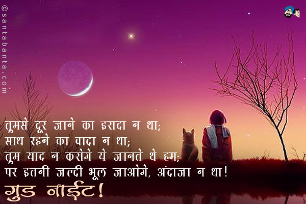 तुमसे दूर जाने का इरादा न था;<br/>
साथ रहने का वादा न था;<br/>
तुम याद न करोगे ये जानते थे हम;<br/>
पर इतनी जल्दी भूल जाओगे, अंदाजा न था।<br/>
गुड नाईट!