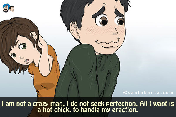 I am not a crazy man, I do not seek perfection. All I want is a hot chick, to handle my erection.