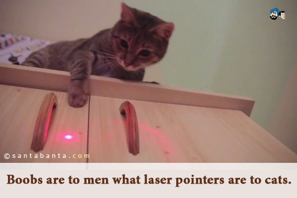 Boobs are to men what laser pointers are to cats.