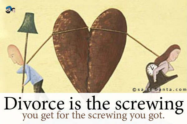 Divorce is the screwing you get for the screwing you got.