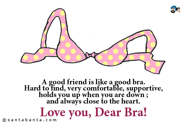 A good friend is like a good bra. Hard to find, very comfortable, supportive, holds you up when you are down ; and always close to the heart.<br />
Love you, Dear Bra!