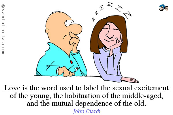 Love is the word used to label the sexual excitement of the young, the habituation of the middle-aged, and the mutual dependence of the old.
