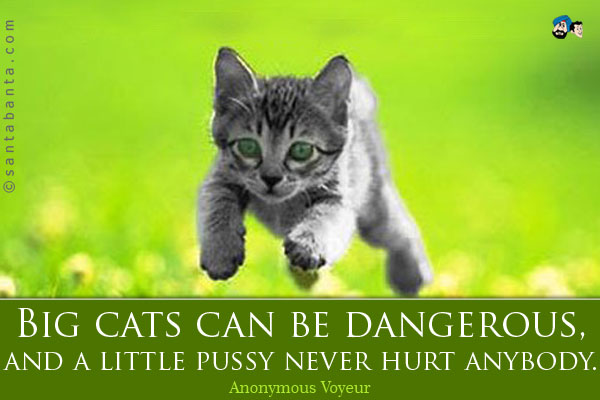 Big cats can be dangerous, and a little pussy never hurt anybody.