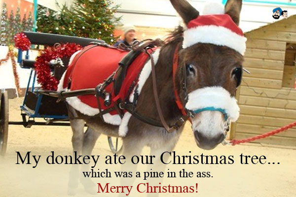 My donkey ate our Christmas tree... which was a pine in the ass.<br />
Merry Christmas!
