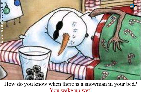 How do you know when there is a snowman in your bed?<br />
You wake up wet!<br />
Merry Christmas!