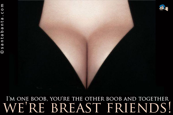 I'm one boob, you're the other boob and together... we're breast friends!