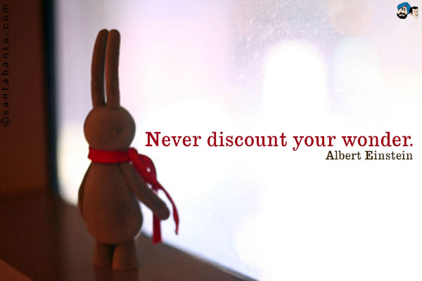 Never discount your wonder.