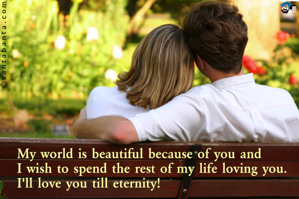 My world is beautiful because of you and I wish to spend the rest of my life loving you.<br />
I'll love you till eternity!