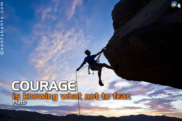 Courage is knowing what not to fear. 