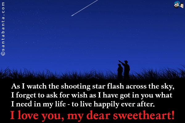 As I watch the shooting star flash across the sky, I forget to ask for wish as I have got in you what I need in my life - to live happily ever after.<br />
I love you, my dear sweetheart!