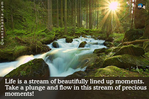 Life is a stream of beautifully lined up moments. Take a plunge and flow in this stream of precious moments!