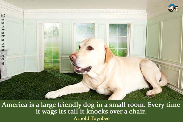 America is a large friendly dog in a small room.  Every time it wags its tail it knocks over a chair.