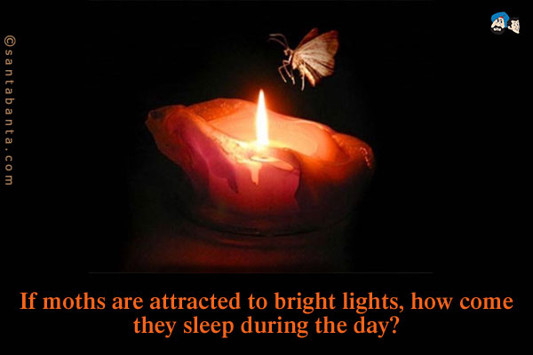 If moths are attracted to bright lights, how come they sleep during the day?