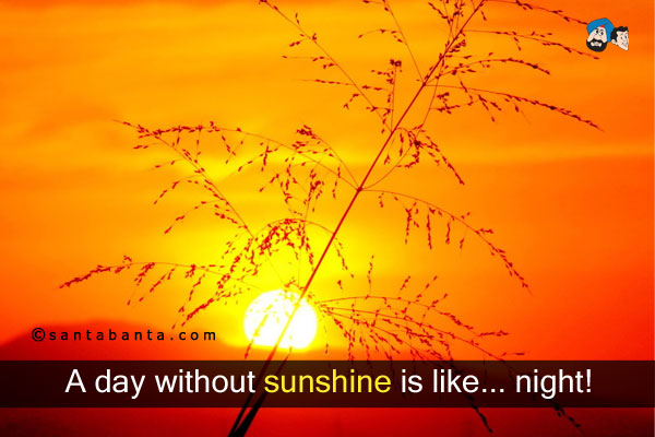 A day without sunshine is like... night!