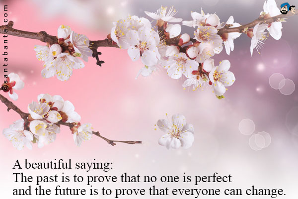 A beautiful saying:<br/ >
The past is to prove that no one is perfect and the future is to prove that everyone can change.