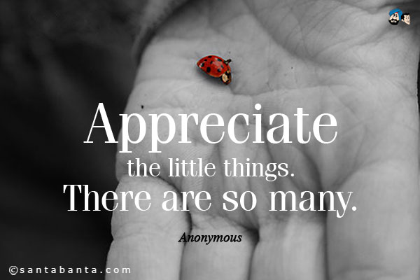 Appreciate the little things. There are so many.