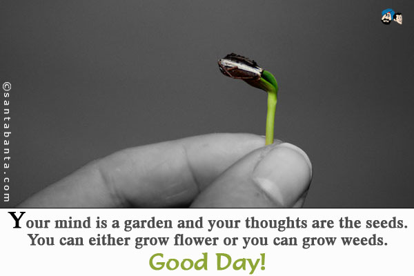 Your mind is a garden and your thoughts are the seeds.<br/ >
You can either grow flower or you can grow weeds.<br/ >
Good Day!