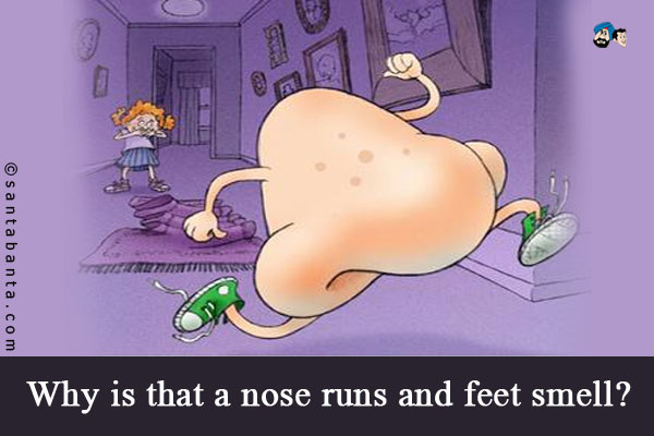 Why is that a nose runs and feet smell?