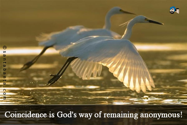 Coincidence is God's way of remaining anonymous!