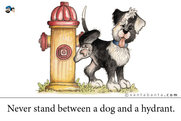 Never stand between a dog and a hydrant.