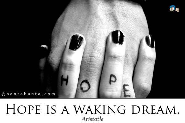 Hope is a waking dream.