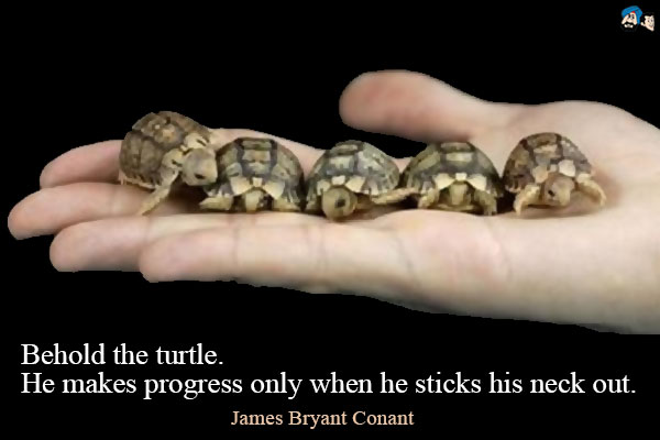 Behold the turtle. He makes progress only when he sticks his neck out.