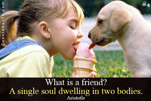 What is a friend? A single soul dwelling in two bodies.