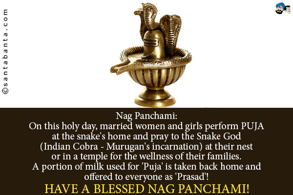 Nag Panchami:<br />
On this holy day, married women and girls perform PUJA at the snake's home and pray to the Snake God (Indian Cobra - Murugan's incarnation) at their nest or in a temple for the wellness of their families.<br /> 
A portion of milk used for 'Puja' is taken back home and offered to everyone as 'Prasad'!<br /><br />
have a blessed Nag Panchami!