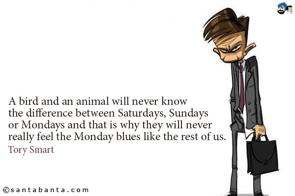 A bird and an animal will never know the difference between Saturdays, Sundays or Mondays and that is why they will never really feel the Monday blues like the rest of us.