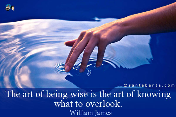 The art of being wise is the art of knowing what to overlook.