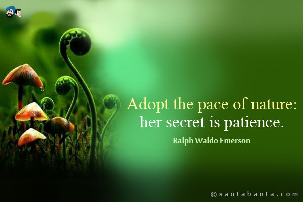 Adopt the pace of nature: her secret is patience.

