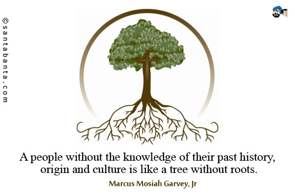 A people without the knowledge of their past history, origin and culture is like a tree without roots.