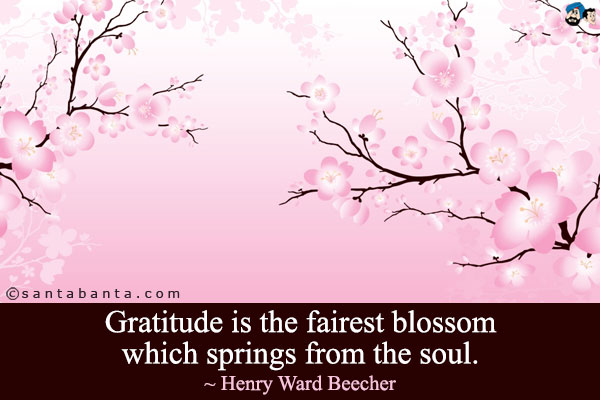 Gratitude is the fairest blossom which springs from the soul.
