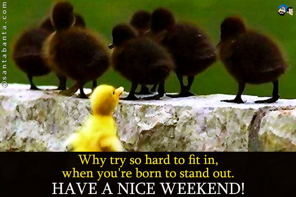 Why try so hard to fit in, when you're born to stand out.<br />
Have a nice weekend!