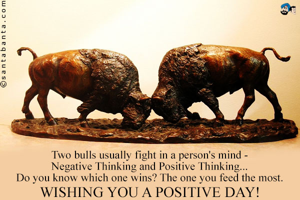 Two bulls usually fight in a person's mind - Negative Thinking and Positive Thinking...<br />
Do you know which one wins? The one you feed the most.<br />
Wishing you a positive day!   