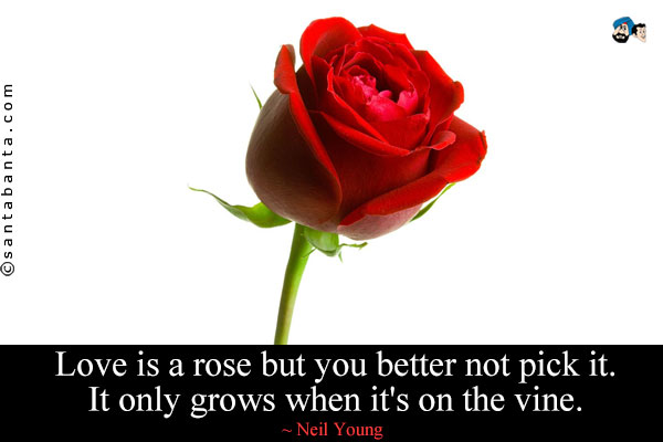 Love is a rose but you better not pick it. It only grows when it's on the vine.