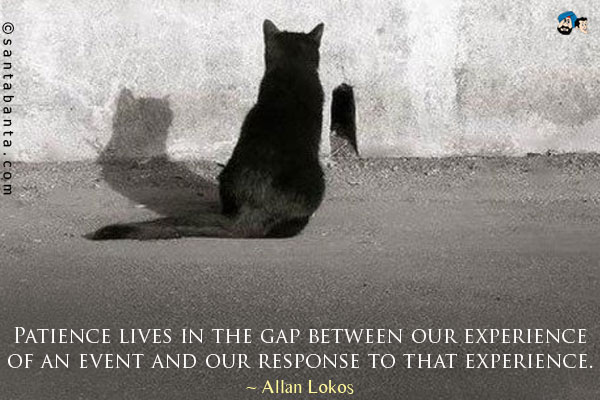 Patience lives in the gap between our experience of an event and our response to that experience.