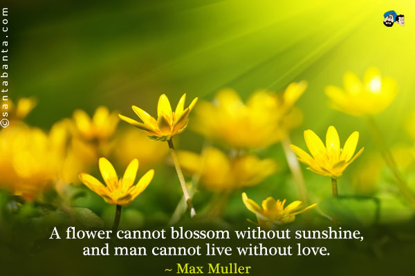 A flower cannot blossom without sunshine, and man cannot live without love.