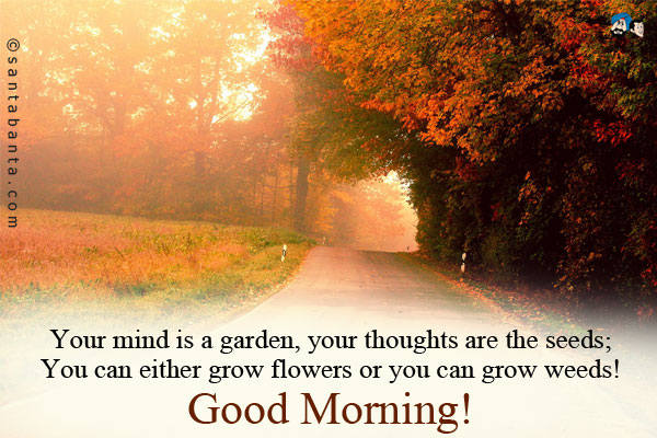 Your mind is a garden, your thoughts are the seeds;<br />
You can either grow flowers or you can grow weeds!<br />
Good Morning!