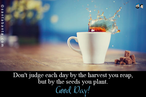 Don't judge each day by the harvest you reap, but by the seeds you plant.<br />
Good Day!