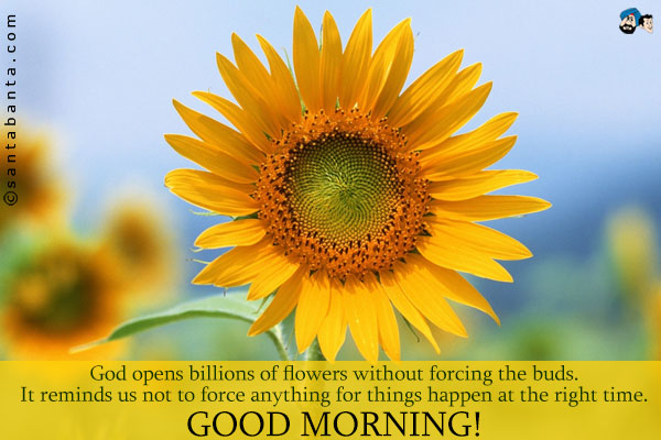 God opens billions of flowers without forcing the buds.<br />
It reminds us not to force anything for things happen at the right time.<br />
Good Morning!