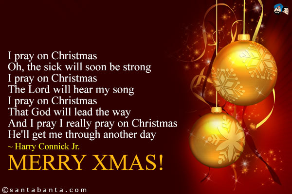 I pray on Christmas<br />
Oh, the sick will soon be strong<br />
I pray on Christmas<br />
The Lord will hear my song<br />
I pray on Christmas<br />
That God will lead the way<br />
And I pray I really pray on Christmas<br />
He'll get me through another day<br />
~  Harry Connick Jr.<br />
Merry Xmas!