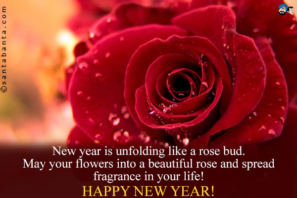 New year is unfolding like a rose bud.<br />
May your flowers into a beautiful rose and spread fragrance in your life!<br />
Happy New Year!