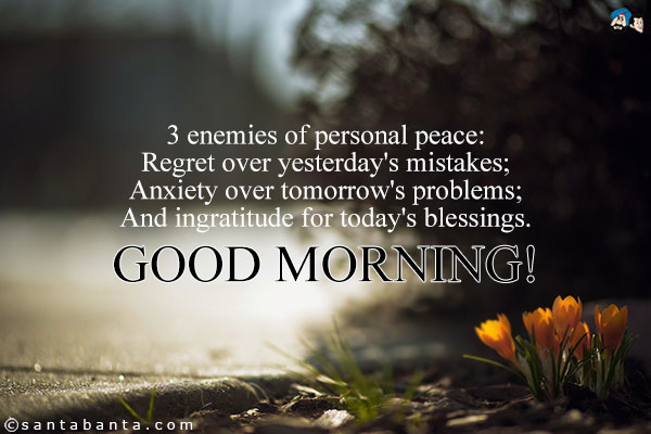 3 enemies of personal peace:<br/>
Regret over yesterday's mistakes;<br/>
Anxiety over tomorrow's problems;<br/>
And ingratitude for today's blessings.<br/>
Good Morning!